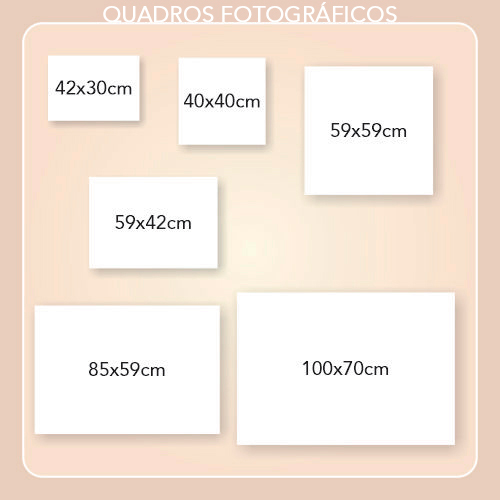 Quadros com Fotos - Abelha na flor